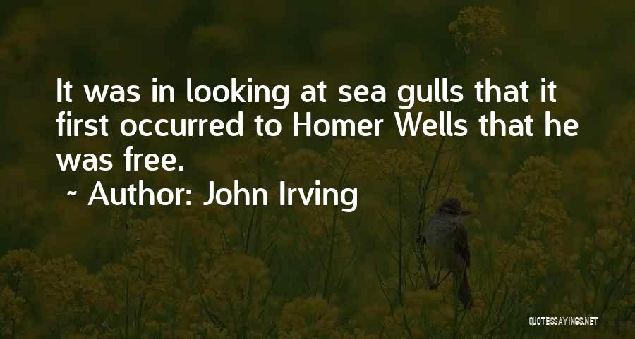 Gulls Quotes By John Irving