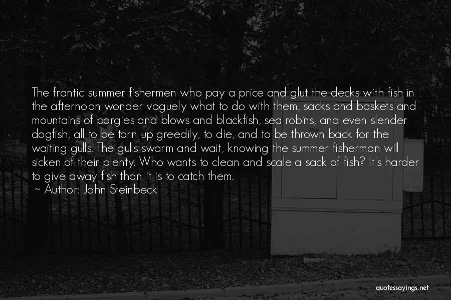 Gulls Quotes By John Steinbeck