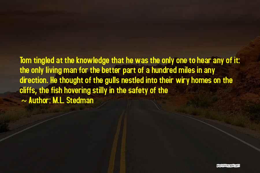 Gulls Quotes By M.L. Stedman