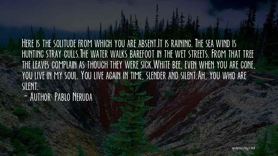 Gulls Quotes By Pablo Neruda