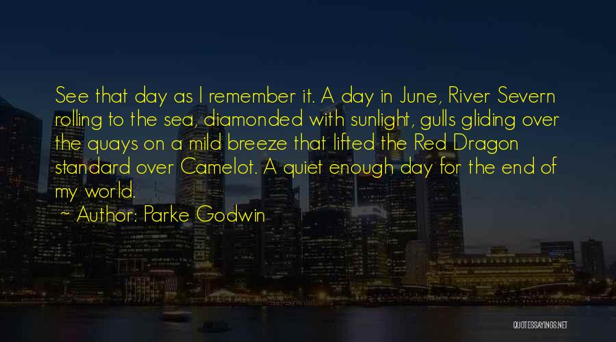 Gulls Quotes By Parke Godwin