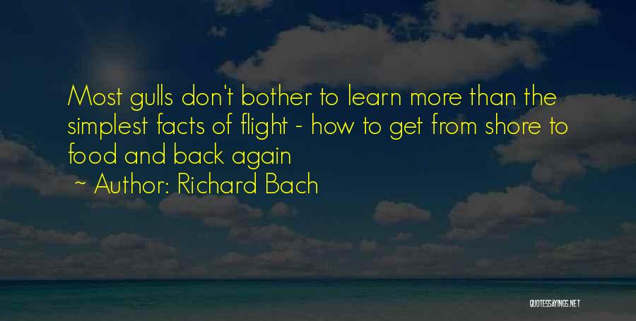 Gulls Quotes By Richard Bach