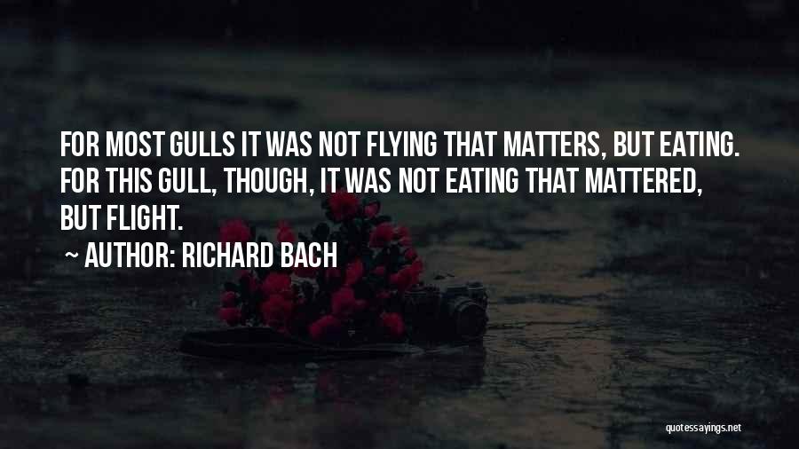Gulls Quotes By Richard Bach
