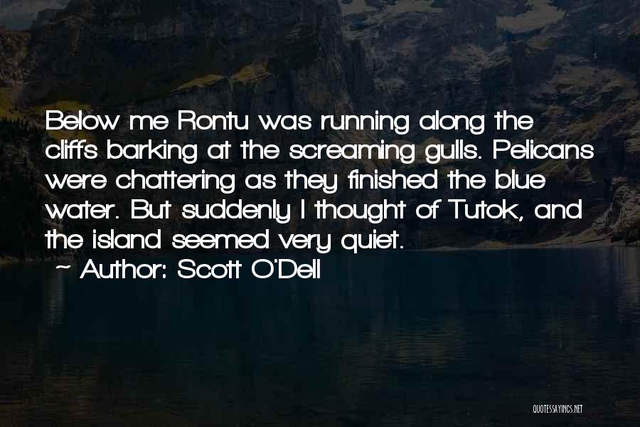 Gulls Quotes By Scott O'Dell