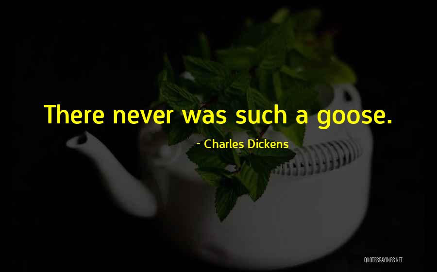 Gulmira Afghanistan Quotes By Charles Dickens Gulmira Afghanistan Quotes By Charles Dickens