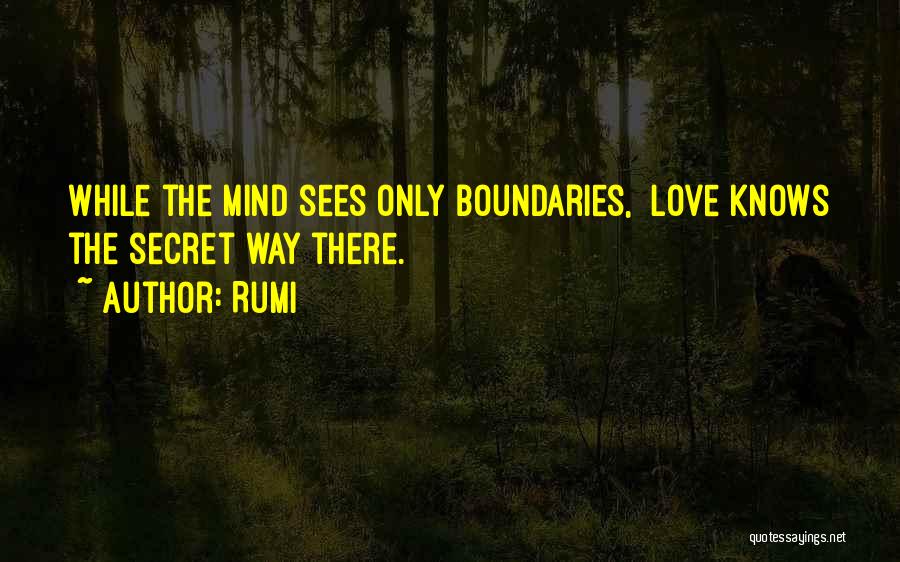 Gumbaru School Quotes By Rumi