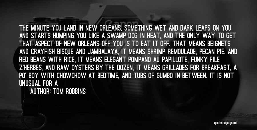 Gumbo Quotes By Tom Robbins