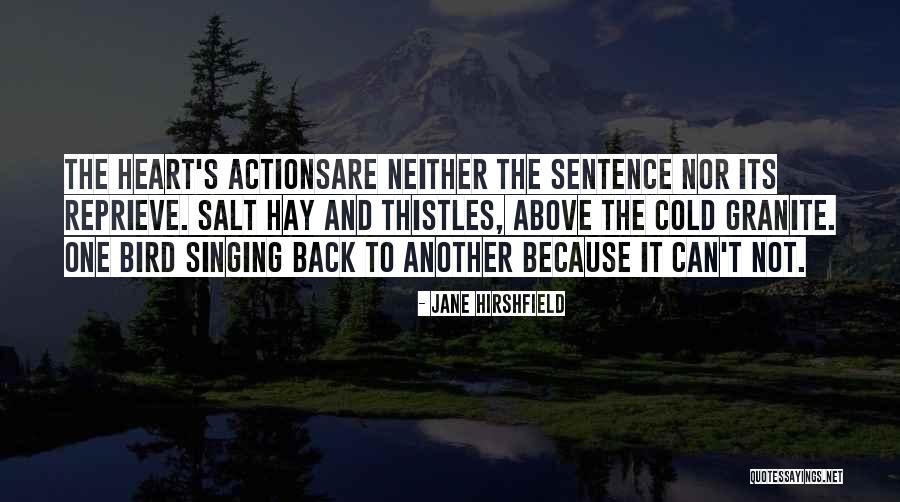 Gumiragaszt Quotes By Jane Hirshfield Gumiragaszt Quotes By Jane Hirshfield