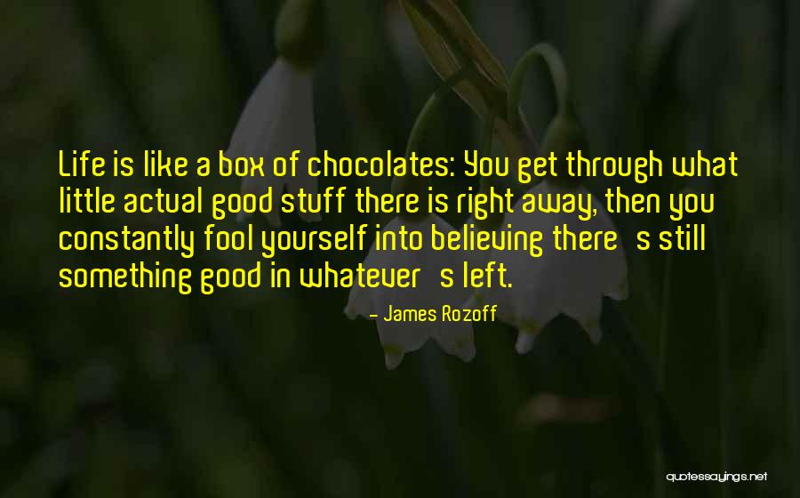 Gump Quotes By James Rozoff