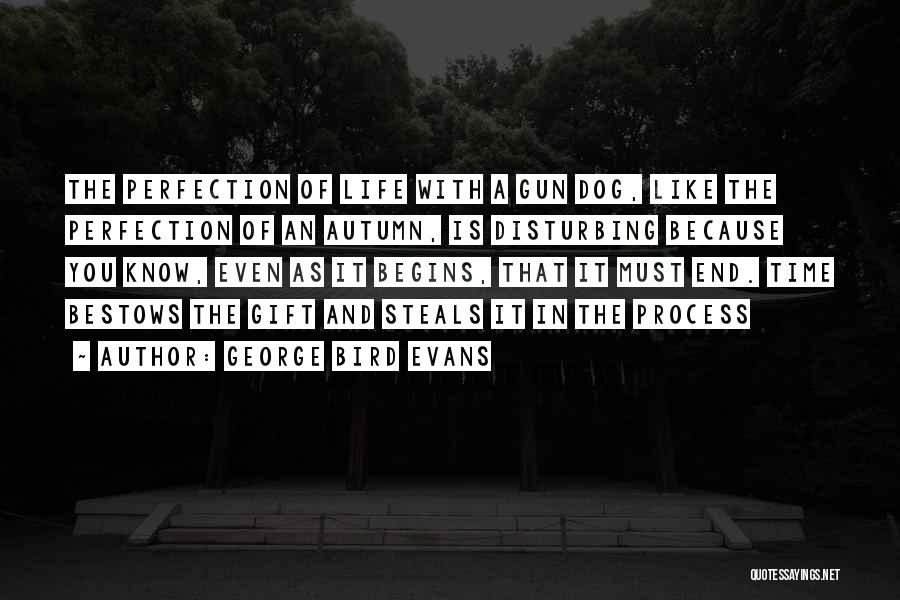 Gun Dog Quotes By George Bird Evans