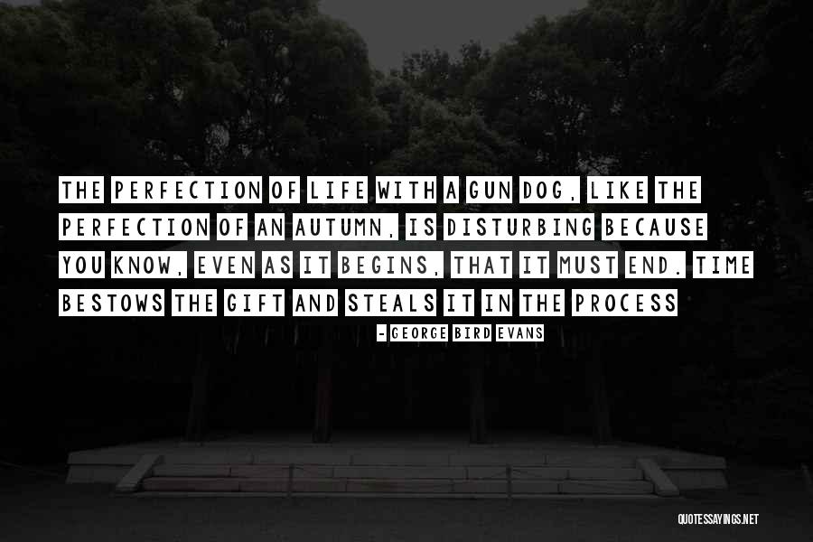 Gun Dog Quotes By George Bird Evans Gun Dog Quotes By George Bird Evans