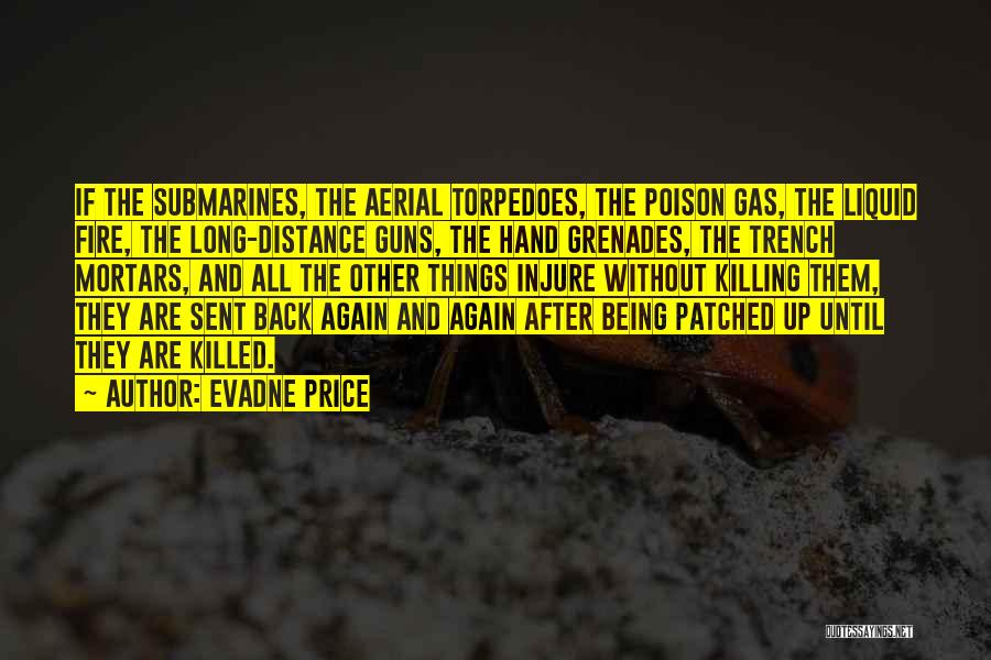 Gun Fire Quotes By Evadne Price