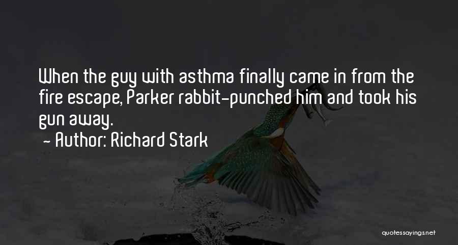 Gun Fire Quotes By Richard Stark