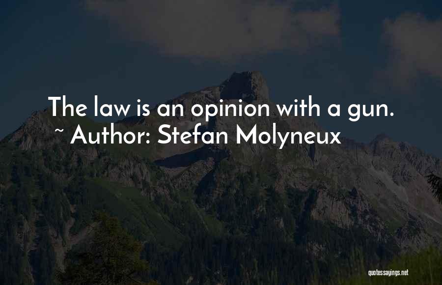 Gun Law Quotes By Stefan Molyneux