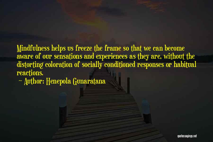 Gunaratana Quotes By Henepola Gunaratana