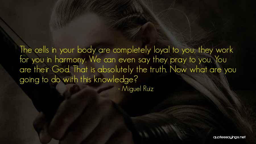 Gunaydin Mesaji Quotes By Miguel Ruiz Gunaydin Mesaji Quotes By Miguel Ruiz