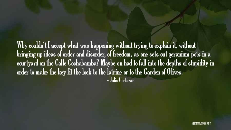 Gundelfinger Duck Quotes By Julio Cortazar Gundelfinger Duck Quotes By Julio Cortazar