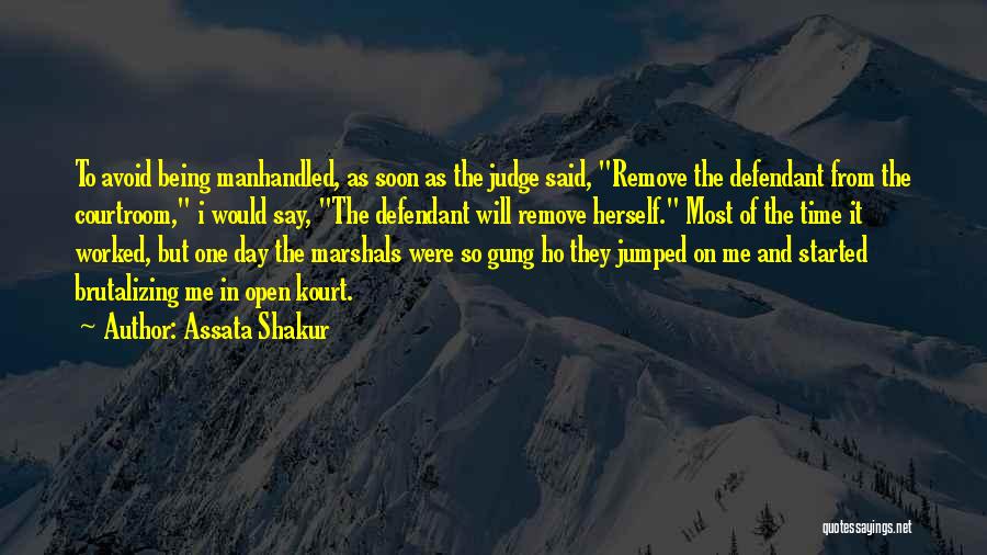 Gung Ho Quotes By Assata Shakur