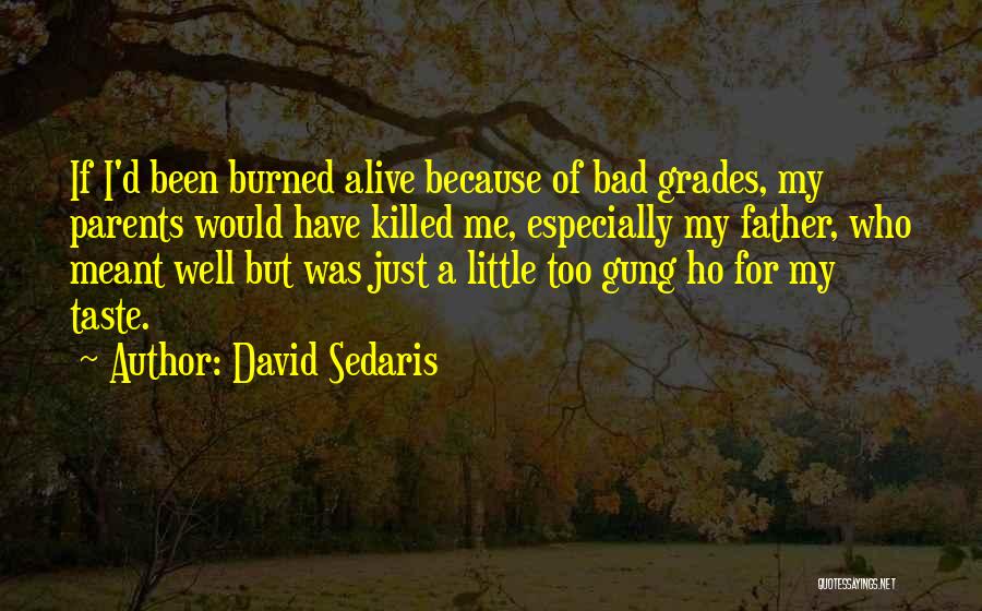 Gung Ho Quotes By David Sedaris