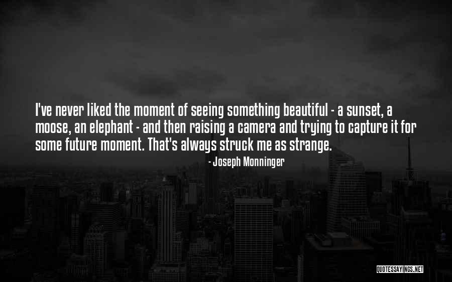 Gungon Concord Quotes By Joseph Monninger