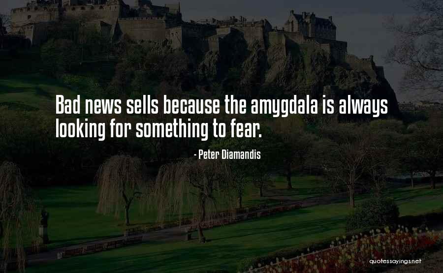 Gunny Sack Race Quotes By Peter Diamandis Gunny Sack Race Quotes By Peter Diamandis