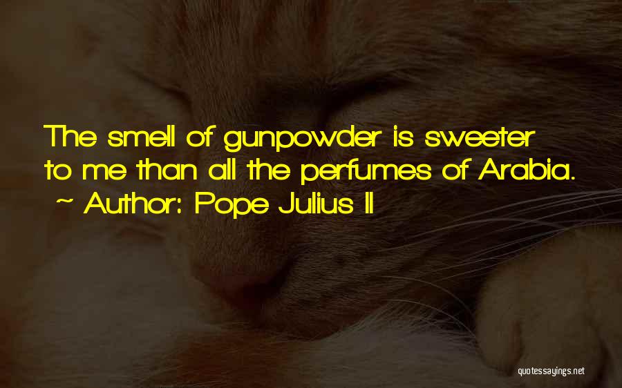 Gunpowder Quotes By Pope Julius II