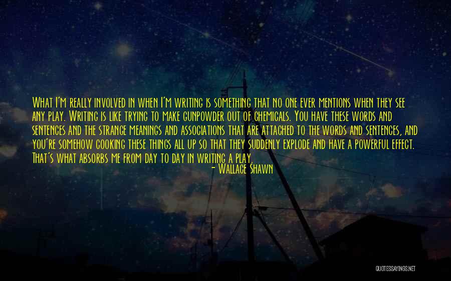 Gunpowder Quotes By Wallace Shawn