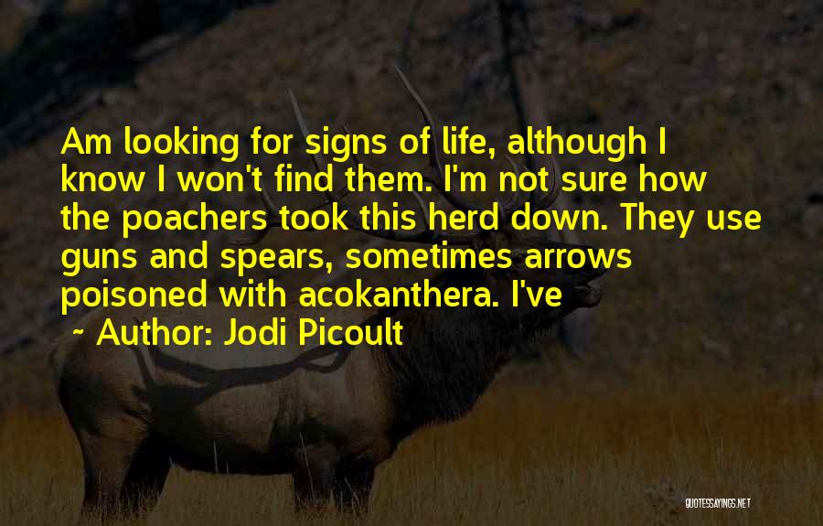 Guns And Life Quotes By Jodi Picoult