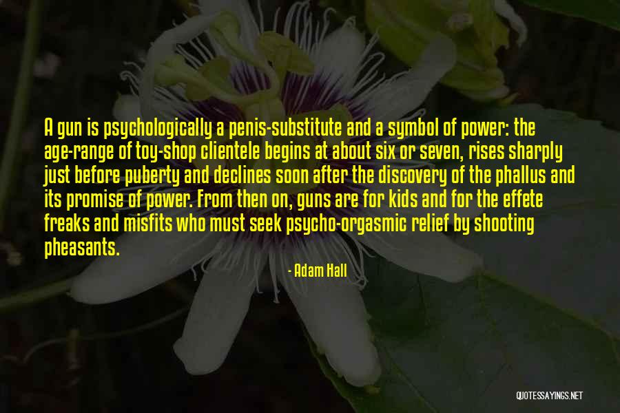 Guns And Power Quotes By Adam Hall