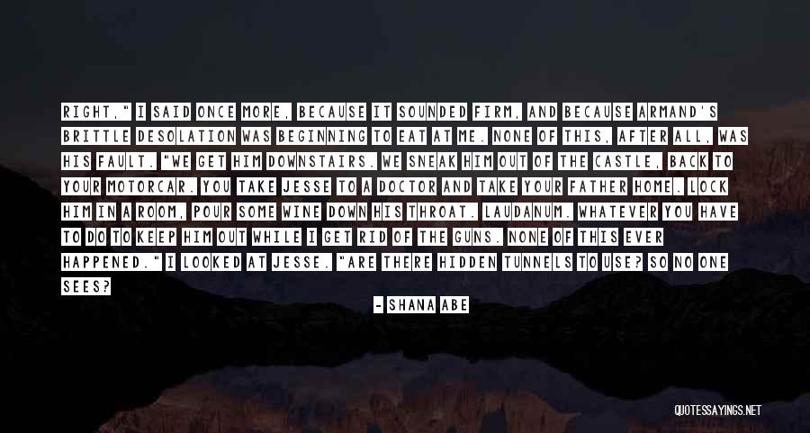 Guns Down Quotes By Shana Abe Guns Down Quotes By Shana Abe