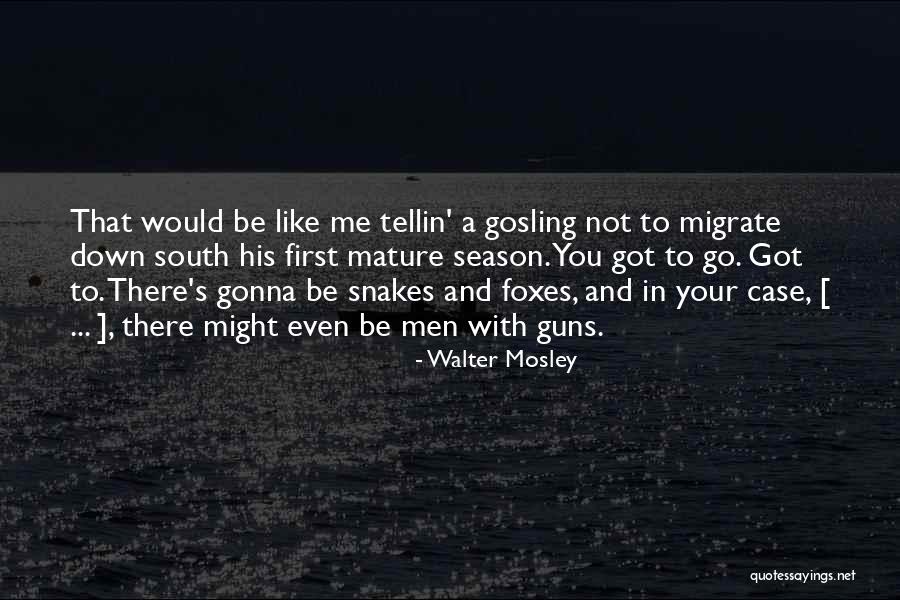 Guns Down Quotes By Walter Mosley Guns Down Quotes By Walter Mosley