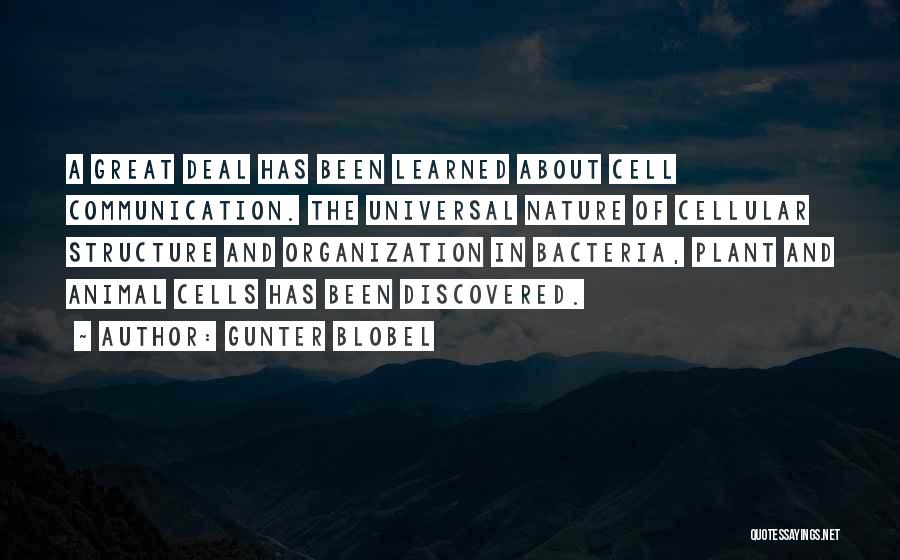 Gunter Blobel Quotes 1155179