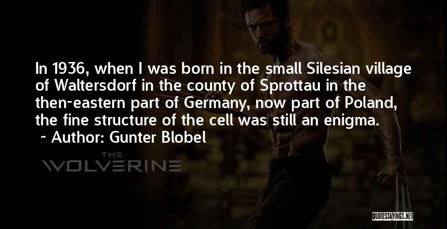 Gunter Blobel Quotes 463627