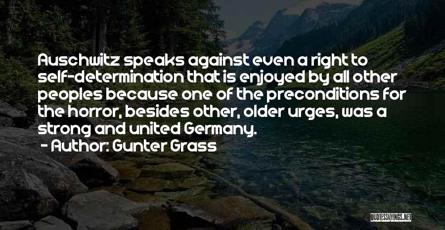 Gunter Grass Quotes 1158090