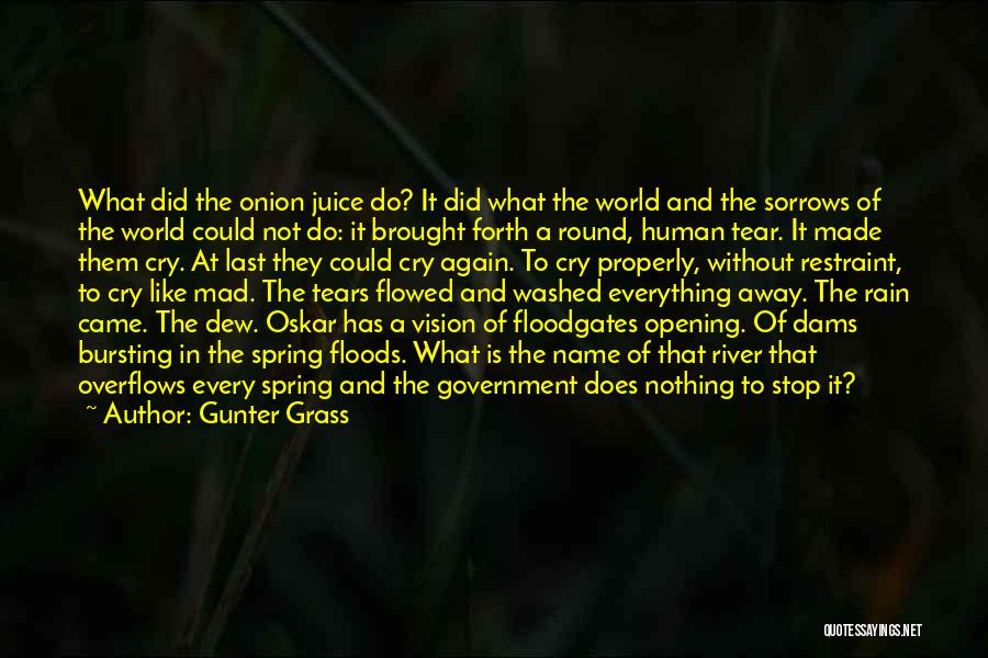 Gunter Grass Quotes 1768801