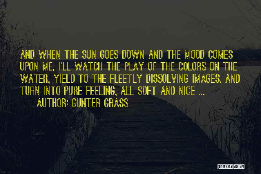 Gunter Grass Quotes 2175695