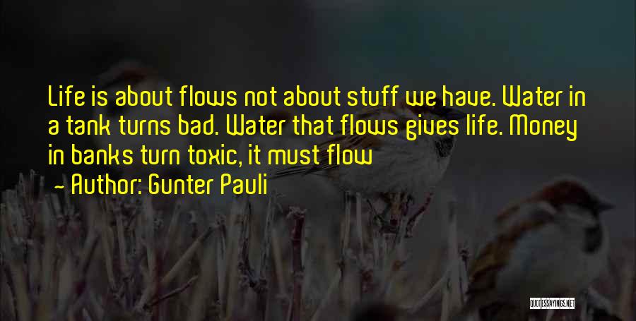 Gunter Pauli Quotes 617291