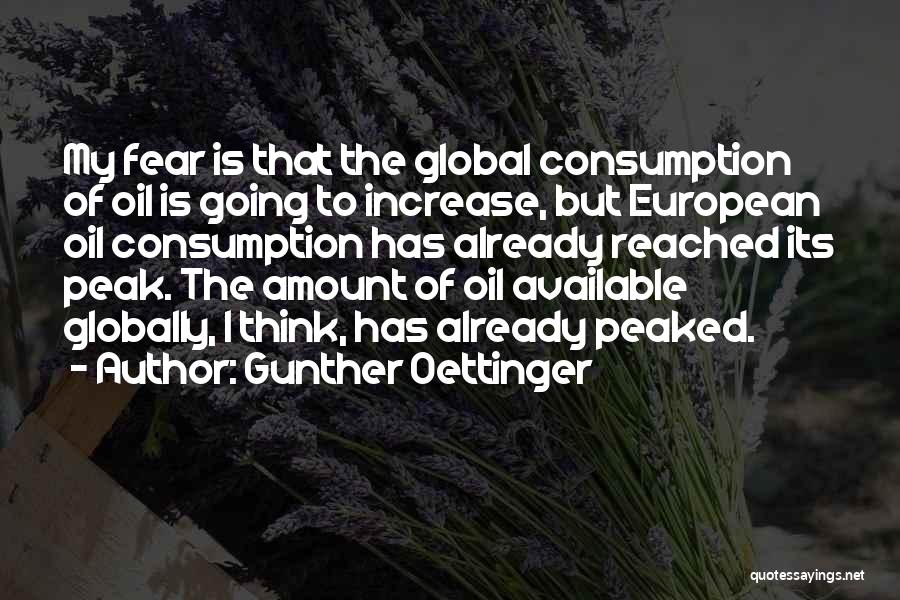 Gunther Oettinger Quotes 1209739