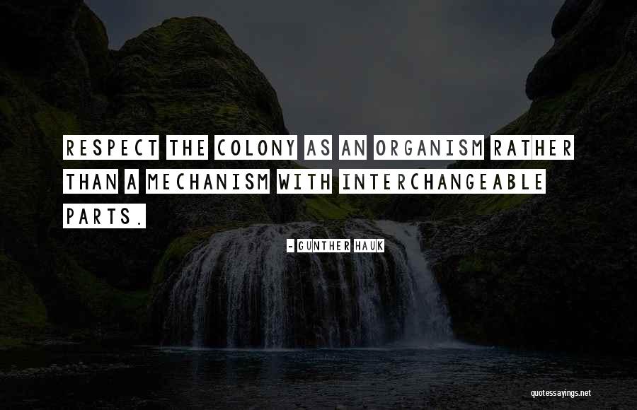 Gunther Quotes By Gunther Hauk Gunther Quotes By Gunther Hauk