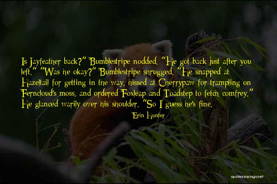 Gupi Music Quotes By Erin Hunter Gupi Music Quotes By Erin Hunter