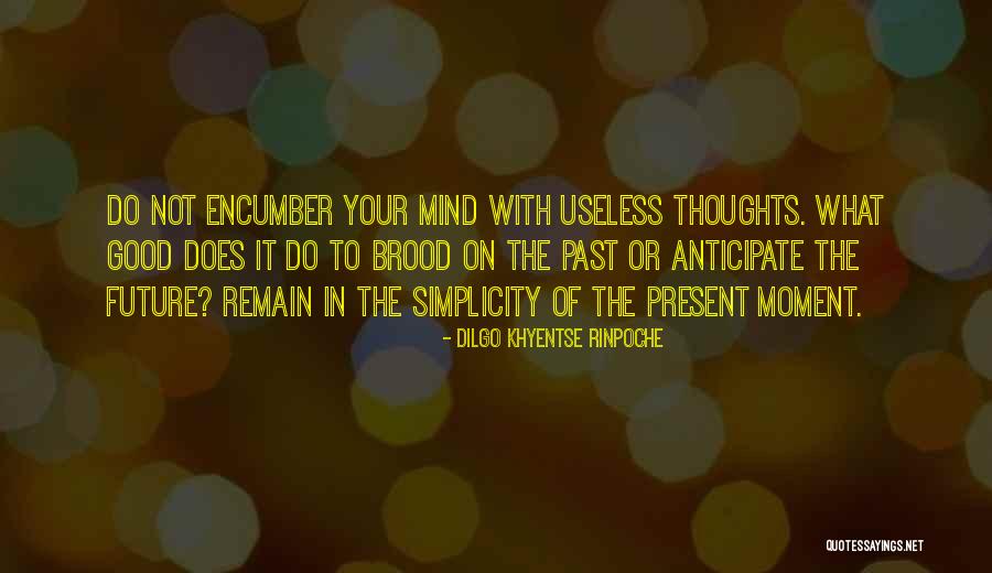 Gurcharan Roopra Quotes By Dilgo Khyentse Rinpoche Gurcharan Roopra Quotes By Dilgo Khyentse Rinpoche