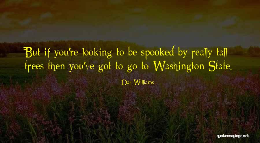 Gurgistheword Quotes By Dar Williams Gurgistheword Quotes By Dar Williams