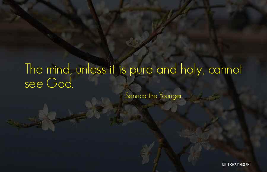 Gurion Kite Quotes By Seneca The Younger Gurion Kite Quotes By Seneca The Younger