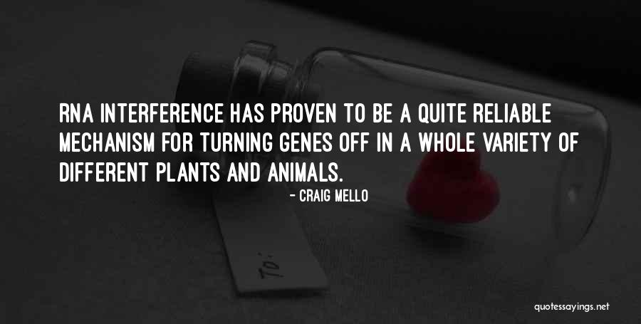 Gurleen Dhanoa Quotes By Craig Mello Gurleen Dhanoa Quotes By Craig Mello