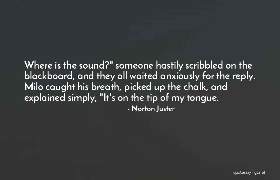 Guru Aini Quotes By Norton Juster Guru Aini Quotes By Norton Juster