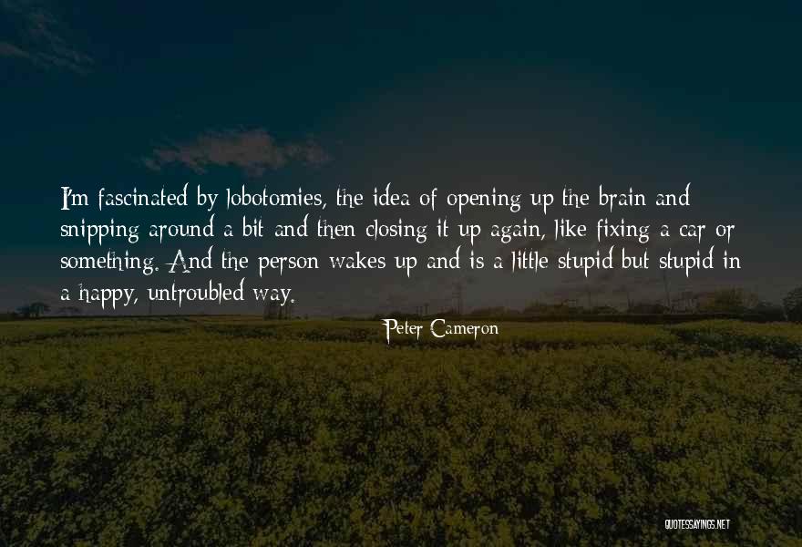 Guru Chidvilasananda Quotes By Peter Cameron Guru Chidvilasananda Quotes By Peter Cameron
