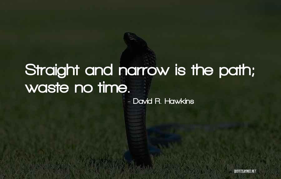 Gushue Brands Quotes By David R. Hawkins
