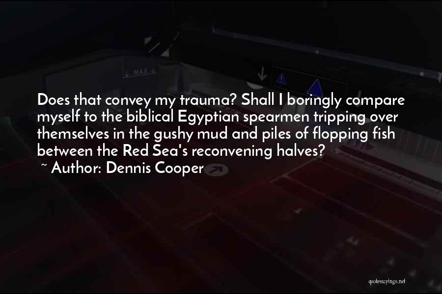 Gushy Quotes By Dennis Cooper