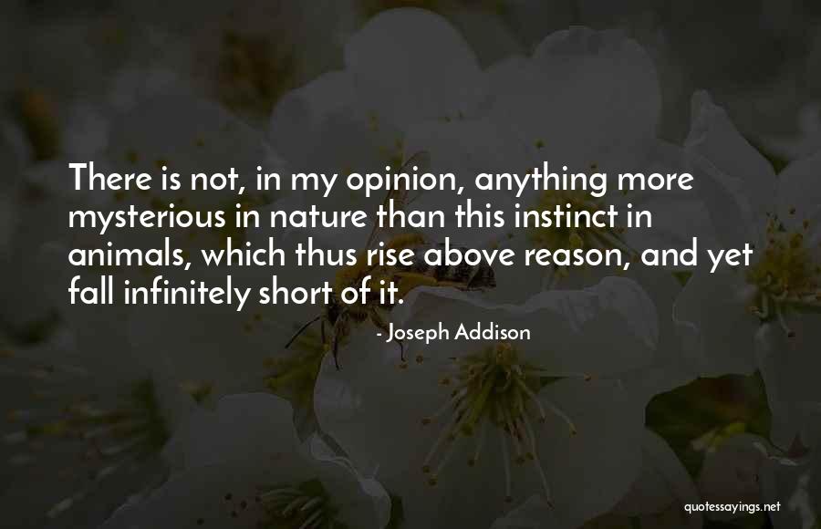 Gustaitis Rugby Quotes By Joseph Addison Gustaitis Rugby Quotes By Joseph Addison