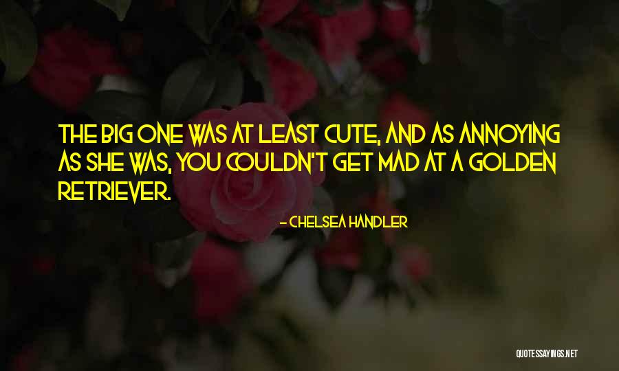 Gustau Camps Valls Quotes By Chelsea Handler Gustau Camps Valls Quotes By Chelsea Handler